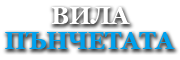 Вила Пънчетата - къмпинг Арапя, Царево